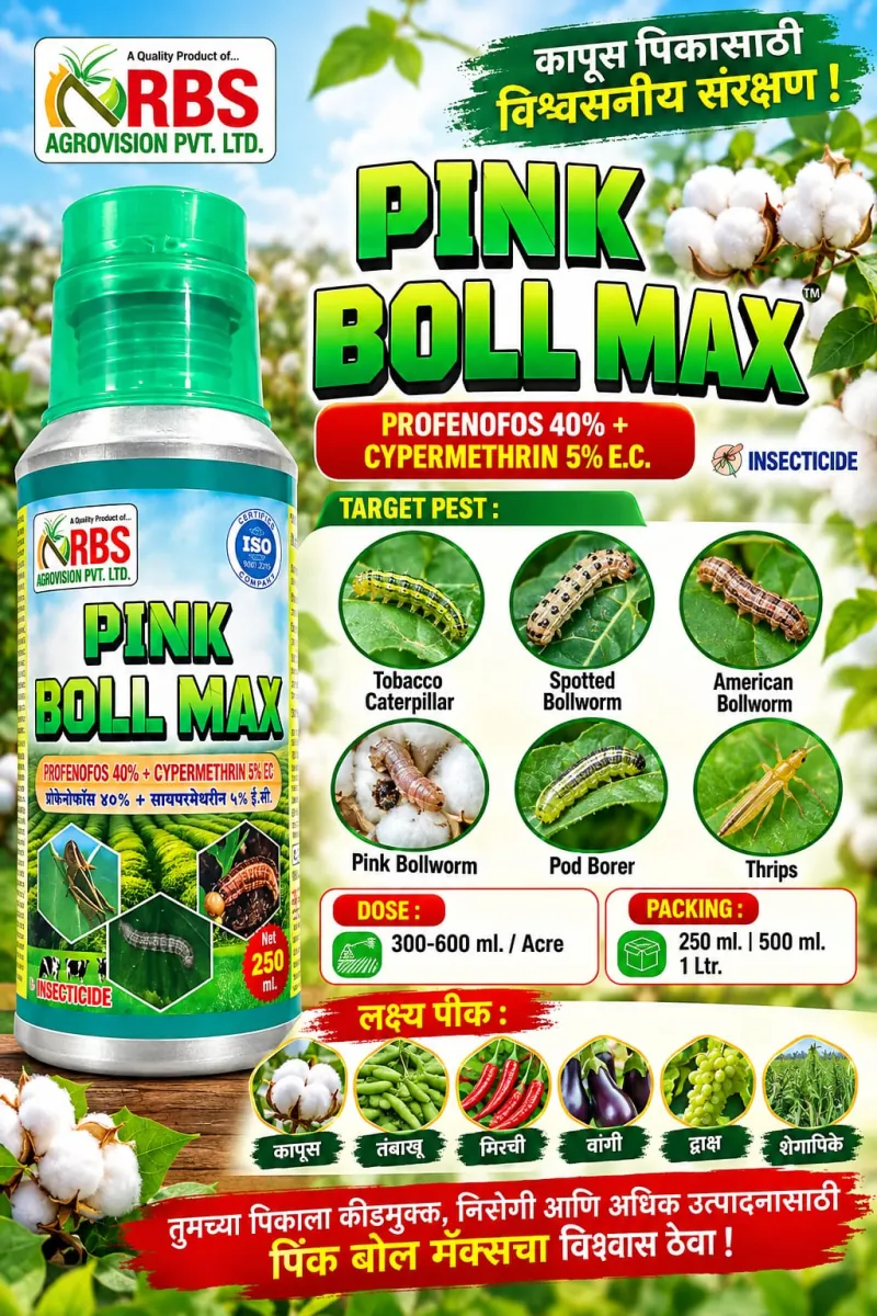 pink boll max